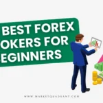 Best Forex Brokers For Beginners in 2024