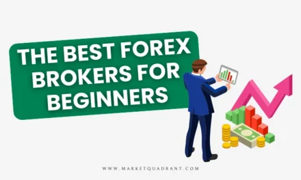 Best Forex Brokers For Beginners in 2024